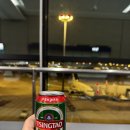 명주호프 | 마드리드행(MU709) 상하이 푸동공항 야간환승 식당/라운지 후기