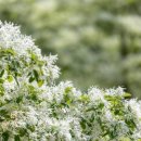 매곡3차산업단지내 이미지