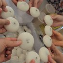 바른자세 아름다운 워킹 네이버블로그
