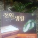 에콜로지아 이미지