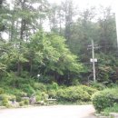 버킹검호텔 이미지