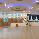 마이펫 강아지유치원 이미지