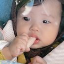 진달래세탁소 이미지