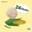 새로운부부치과의원 | #21. 임신 24~25주 / 임당 검사, 역아, 철분 변비, 겨드랑이 멍울 / 중기 기록 🍀