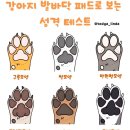 굿모닝토토 이미지
