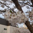 청풍한지체험장 이미지