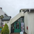 당포로나인돈카츠 이미지