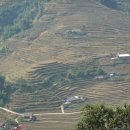 라오 (LAO) 이미지