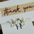 함초롬플라워 이미지