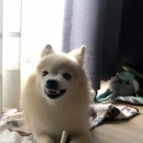 영통세차장 이미지