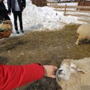 청해목장 이미지