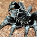 지호농장 이미지