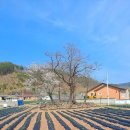 대천리 문월당(大川里 問月堂) | 영양읍 대천리 선당(仙唐)의 솔둥천에 새겨 놓은 '선리동천(屳里洞天)'