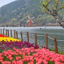 오복공원 도형조형물 | 대구 산책 공원 추천 옥연지 송해공원, 4월 튤립명소 이랜드와 개화 현황 비교 및 주말 방문 후기