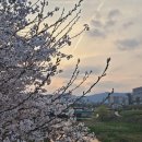금토천(좌로) 이미지
