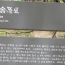 우림 이미지