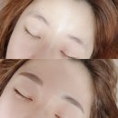 예쁜눈썹 이미지