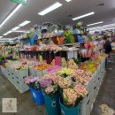 하늘과땅꽃집 | 좋아하는 꽃을 직업으로? 꽃집 창업 전 꼭 알아야 할 현실적인 조언과 꽃가게 창업 전 반드시 알아야 할...