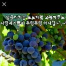 카페;거기