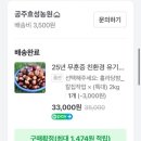 효성농원 | 🌰올가을도 역시 공주효성농원! 밤 덕후의 진심 후기(내돈내산)
