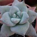 오정농장 이미지