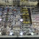 아이러브안경콘텍트 이미지