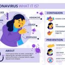 석암초등학교 이미지