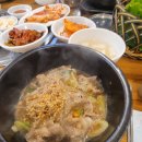 도야지 친구들 이미지