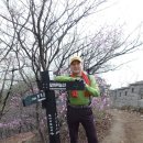 정릉1 이미지