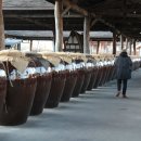 고추장익는마을 이미지