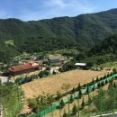 딸부자집 펜션 이미지