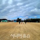 새(고경) 이미지