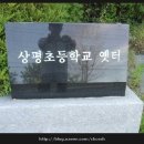 정국량 효자각 Daum카페