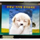 대전전민초등학교 생명사랑(자살예방) 방송교육 이미지