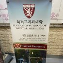 지성치과의원 네이버블로그