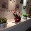 뉴알프스 관광 모텔 이미지