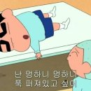 몽실네김밥 | 260314-15 3월 양양애견동반여행 (금강산 못감, 속초회포장, 서프쉑(405호), 양양죽도(죽도암)트레킹...