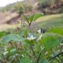 꽃보다부동산공인중개사사무소 이미지