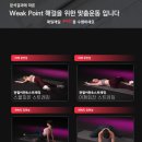 몸그리다 이미지