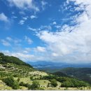 삼덕공원 이미지