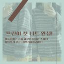 뜨린이 첫 니트 완성! 바늘이야기 크롭 레글런 탑다운 스웨터~ 세탁까지 완료 (히말라야울리8볼)