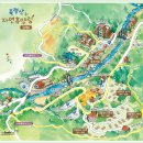 축령산자연휴양림 이미지