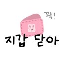 아일펜션 네이버블로그