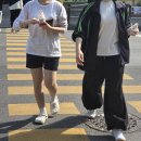 잘해줄개 | 너싸움잘해?