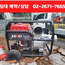 이송이임대