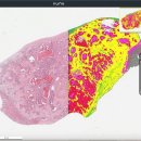 주식회사메드솔루션 이미지
