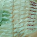 아리랑88호프 이미지