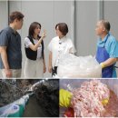 지혜토굴새우젓