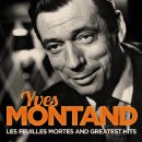 헐리웃 스타, 이브 몽땅(Yves Montand) 이미지