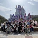 용인대박사청룡태권도 이미지